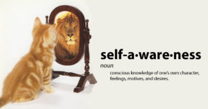 Self-awareness For Emotional Intelligence - Fourlenses Fort Worth TX thumbnail
