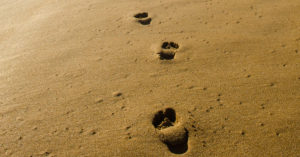 footsteps-in-sand