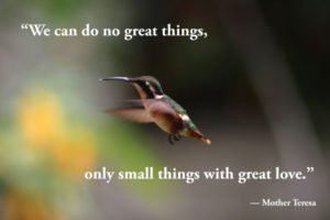 We can do no great things, only small things with great love. - Mother Teresa