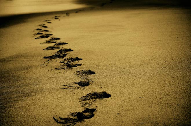 Image of zigzag footprints in sand.