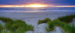 Coast dunes sunset
